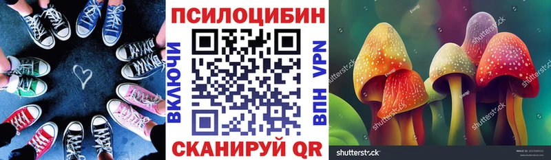 Галлюциногенные грибы GOLDEN TEACHER  где купить наркоту  Бузулук 
